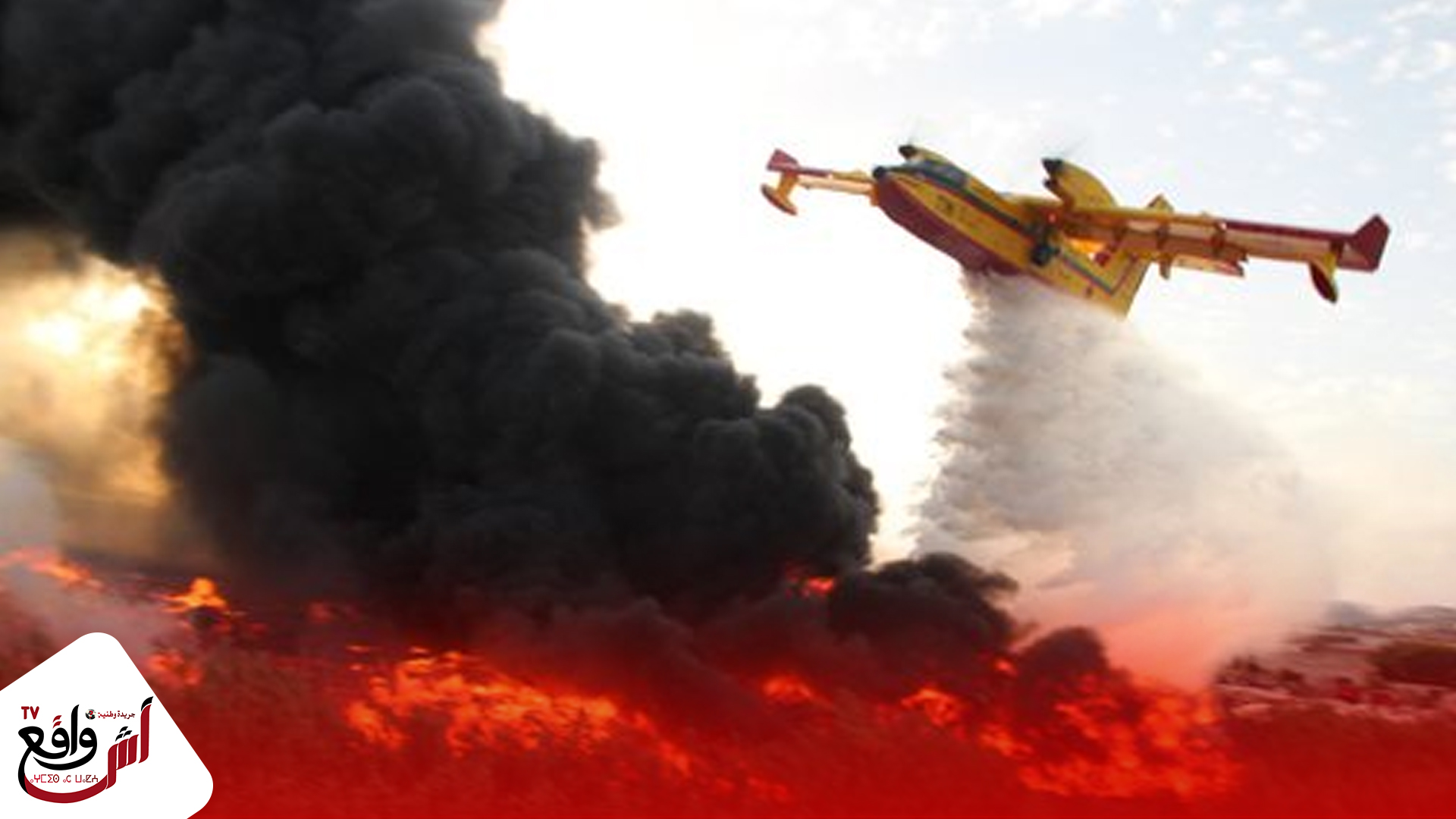 طنجة : السيطرة على حريق أتى على 36 هكتارا من الغابة الدبلوماسية