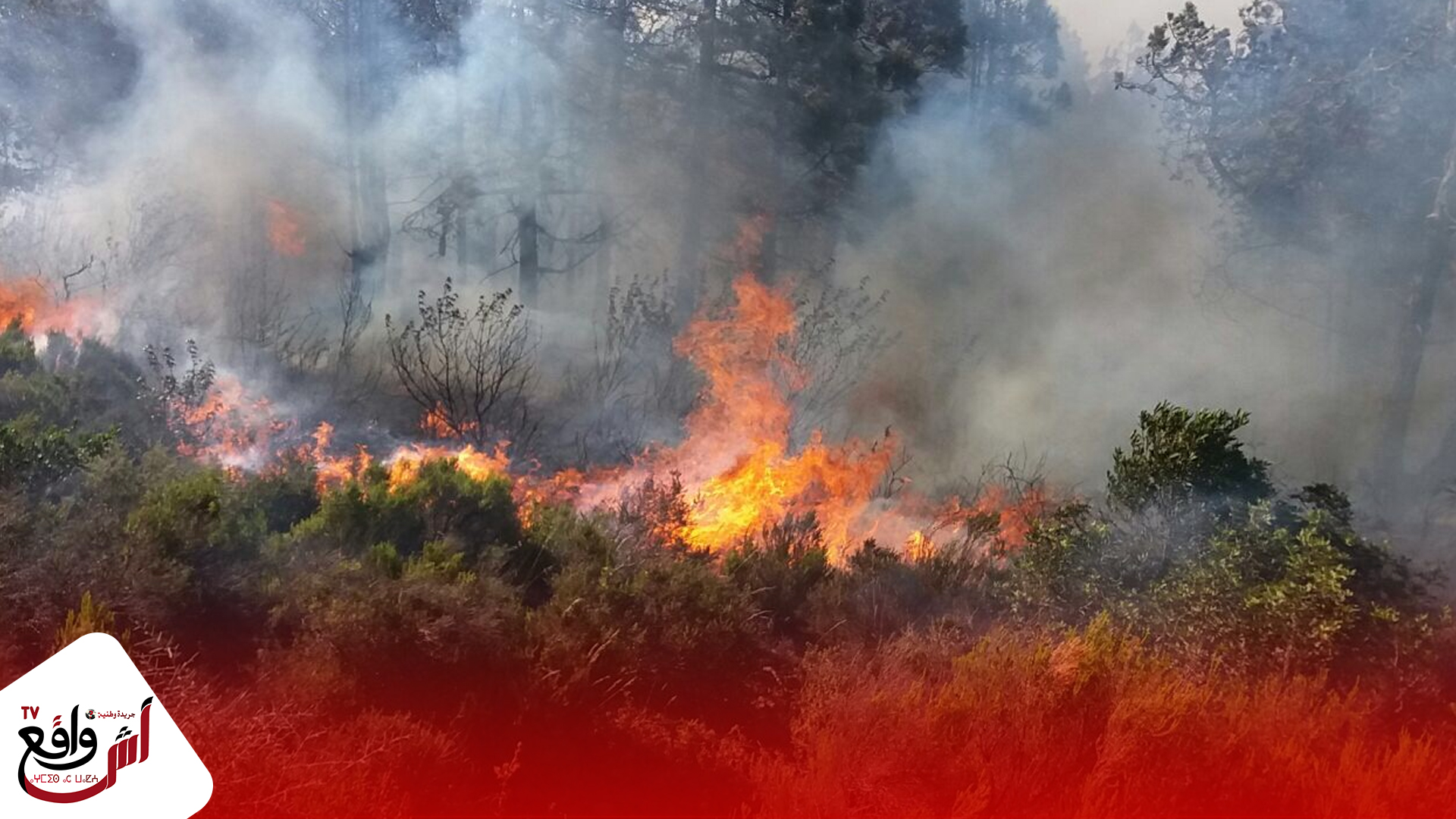 استعمال طائرات لإخماد حريق اندلع بغابة نواحي منطقة الحوز