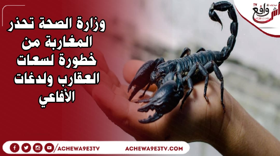 وزارة الصحة تحذر المغاربة من خطورة لسعات العقارب ولدغات الأفاعي
